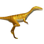 Coelosaur