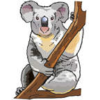 Koala – faunal emblem