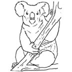 Koala – faunal emblem BW