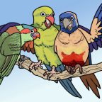 Parrot party