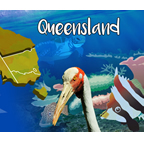 Queensland banner