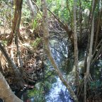 Tropical north Queensland 2