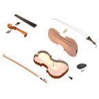 Violin in pieces