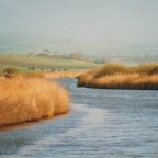 Coorong