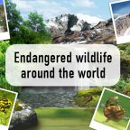 Endangered wildlife banner