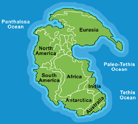 Pangea