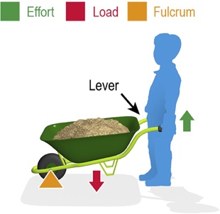 Diagram 5 - example of a class 2 lever