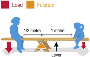 Diagram 7 - example of levers in balance