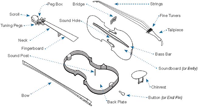 The parts of a violin/fiddle