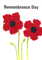 Poppy poster PDF